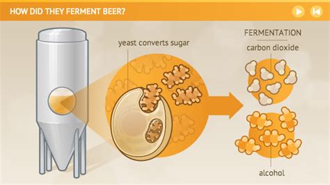 Does sugar turn into alcohol when fermented?