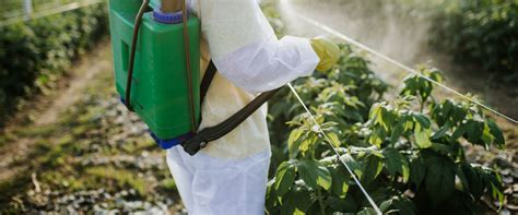 Does sunlight break down pesticides?