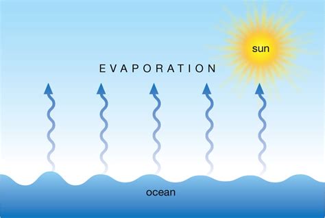 Does sunlight evaporate water?