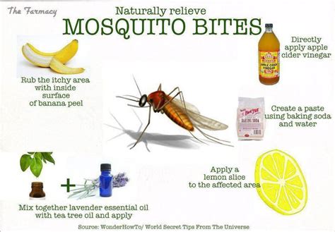 Does sunlight help mosquito bites?