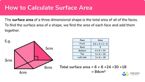 Does surface area mean total?