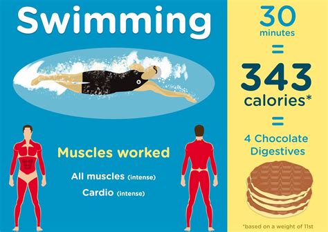 Does swimming burn fat?