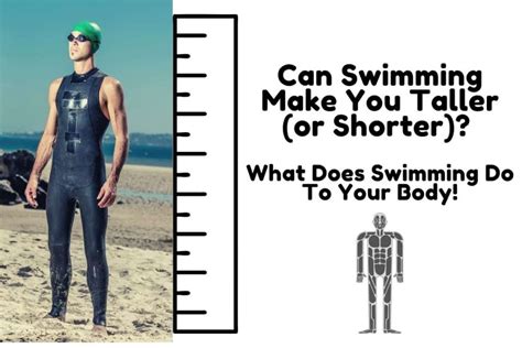 Does swimming make you taller?