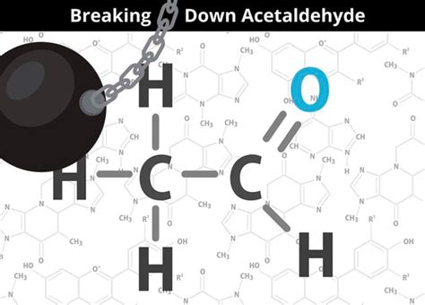 Does taurine break down acetaldehyde?