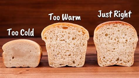 Does temperature affect bread dough?