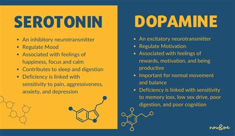 Does testosterone give you dopamine?