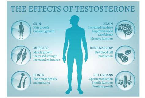 Does testosterone make smell?