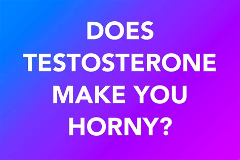 Does testosterone make you horny?