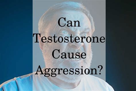 Does testosterone make you more aggressive?