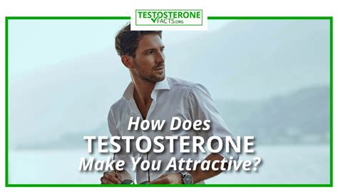 Does testosterone make you more beautiful?