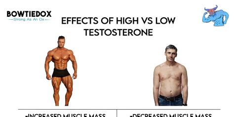 Does testosterone make you more handsome?