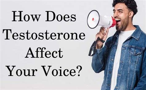 Does testosterone make your voice deeper?