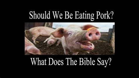 Does the Bible say don't eat pig?