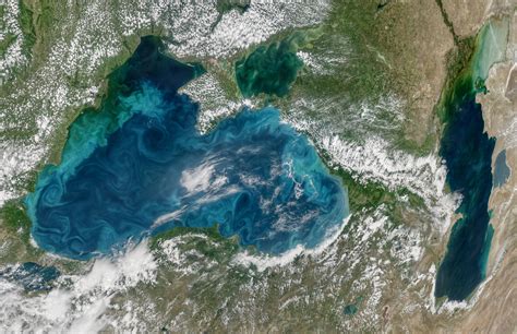 Does the Black Sea have oxygen?