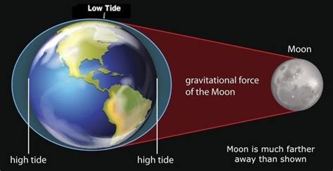 Does the Moon have gravity?