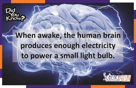 Does the brain produce electricity?