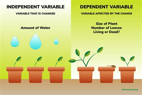 Does the dependent variable change?