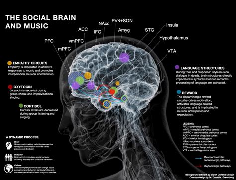 Does the genre of music affect your brain?