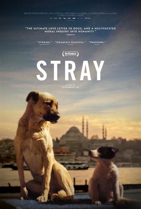 Does the movie Strays have swearing?