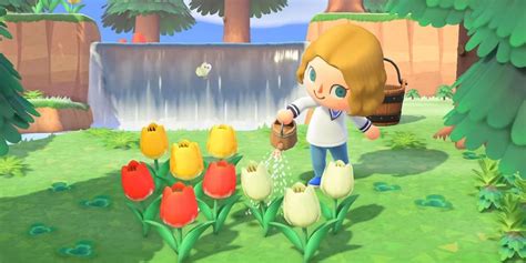 Does the watering can do anything in Animal Crossing?