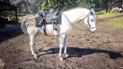 Does the white Arabian horse only spawn once?