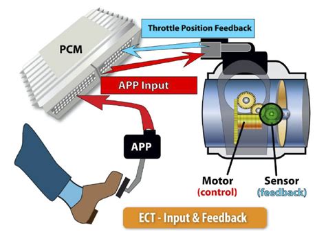 Does throttle control speed?