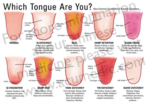 Does tongue length matter?