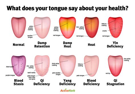 Does tongue size matter?