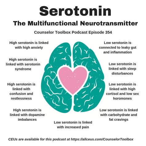 Does too little serotonin cause anxiety?