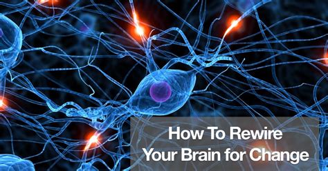 Does trauma rewire your brain?