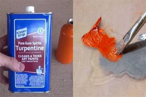 Does turpentine remove paint?