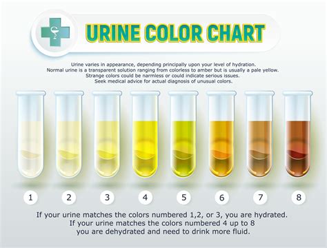 Does urine change color over time?