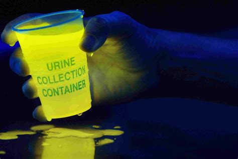 Does urine glow under UV light?