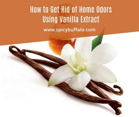 Does vanilla extract remove odors?