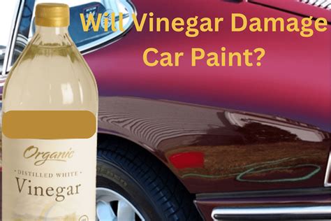 Does vinegar damage oil paint?