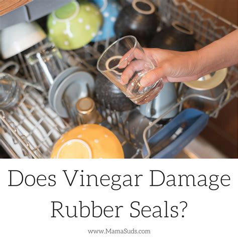 Does vinegar damage rubber seals?