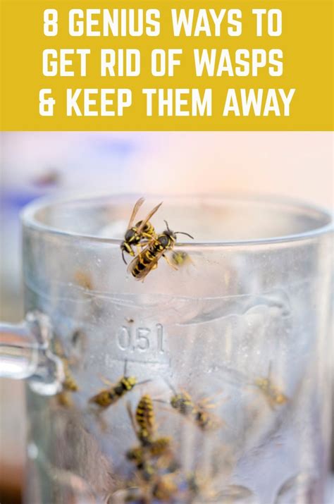 Does vinegar keep bees away?