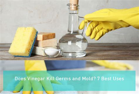 Does vinegar kill bacteria in laundry?