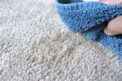 Does vinegar lighten carpet?