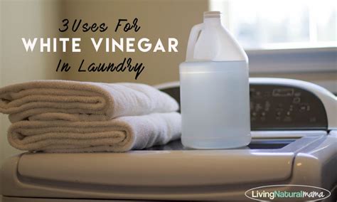 Does vinegar make laundry whiter?