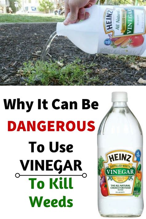 Does vinegar poison soil?