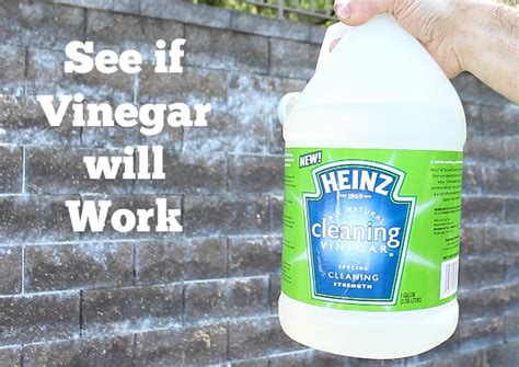 Does vinegar remove efflorescence?