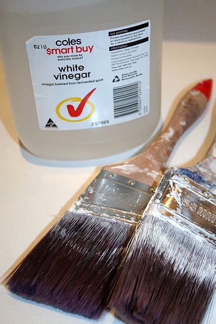 Does vinegar ruin paint brushes?