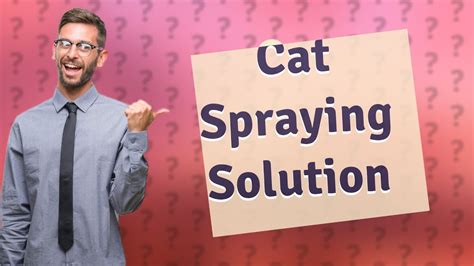 Does vinegar stop cats from spraying?