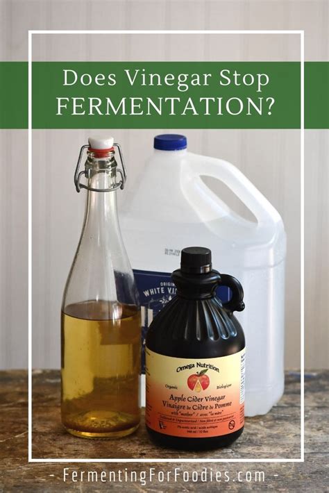 Does vinegar stop fermentation?