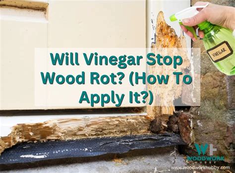 Does vinegar stop wood rot?