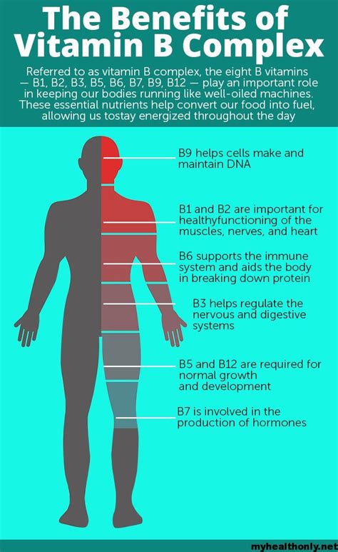 Does vitamin B12 build muscle?