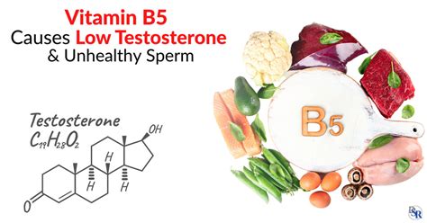 Does vitamin B5 lower testosterone?