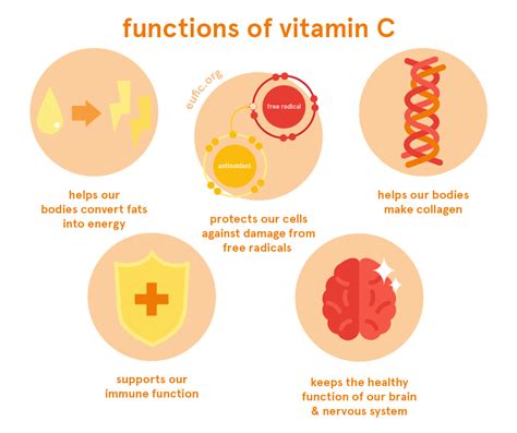 Does vitamin C help make hormones?