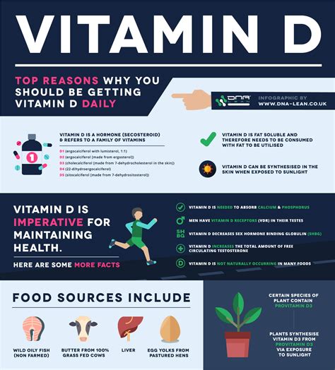 Does vitamin D3 increase testosterone?